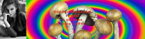 а пвп мука Белоозёрский